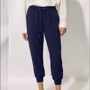 Wilfred Buffon Pant - Aritzia
